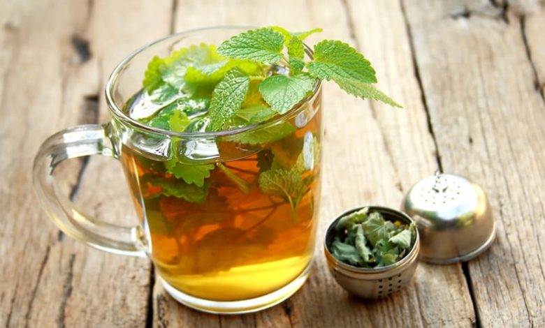 melisa çayı faydaları nelerdir